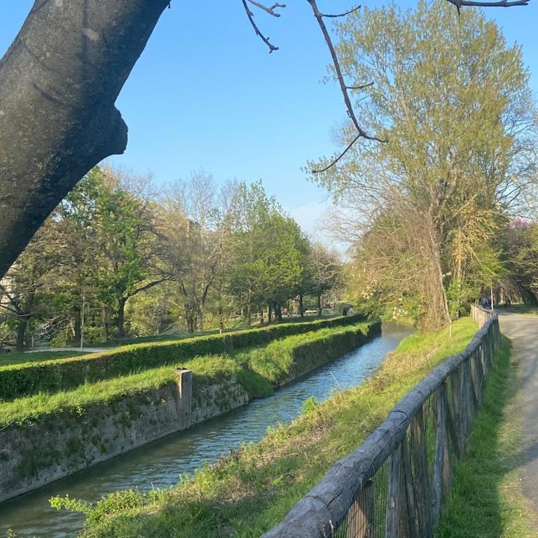 Thelma alla Funivia-Vicino Maggiore e Villa Chiara - Appartamento con 1 Camera da Letto - 7