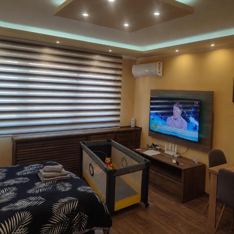 Apartman JELAČIK 2 - One-Bedroom Apartment - 38