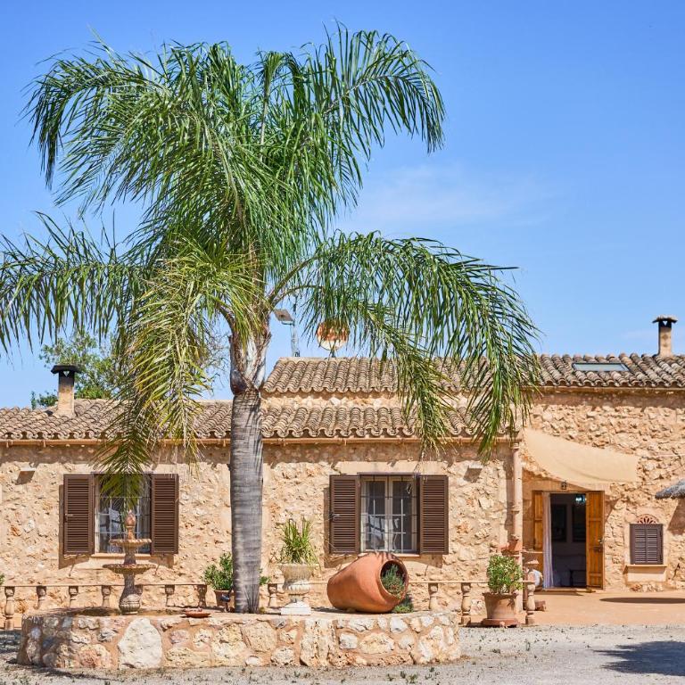 Finca Banc DOli - Casa con 3 Camere da Letto - 3
