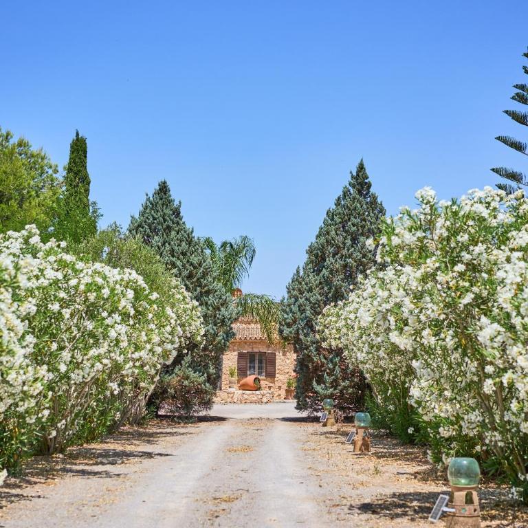 Finca Banc DOli - Casa con 3 Camere da Letto - 9