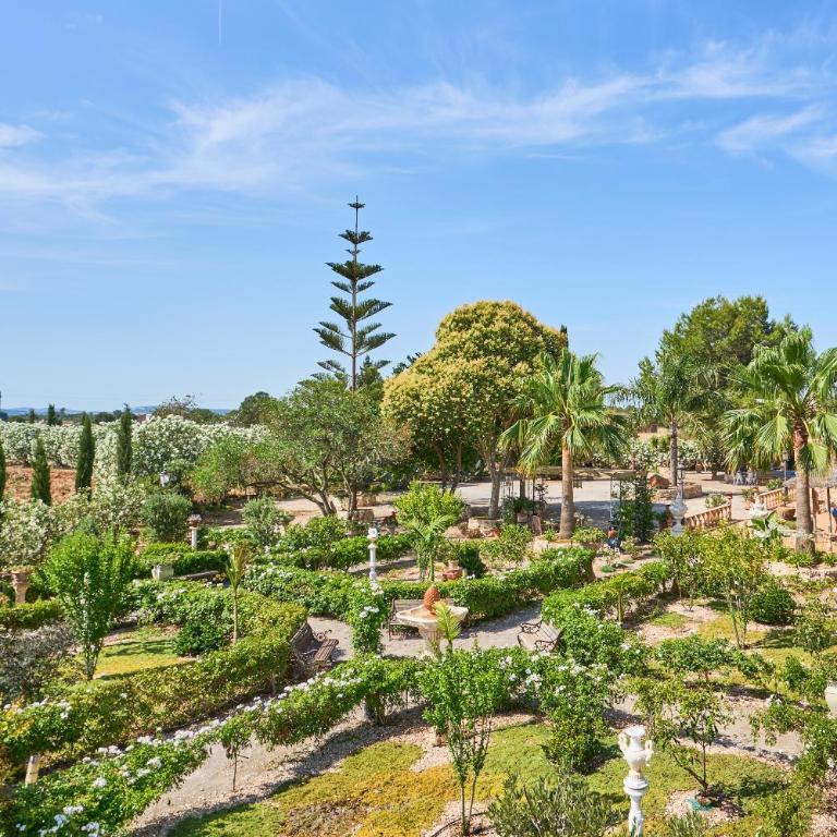 Finca Banc DOli - Casa con 3 Camere da Letto - 45