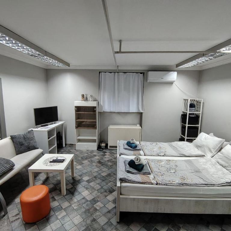 Apartman Pocerac - Appartement - 2