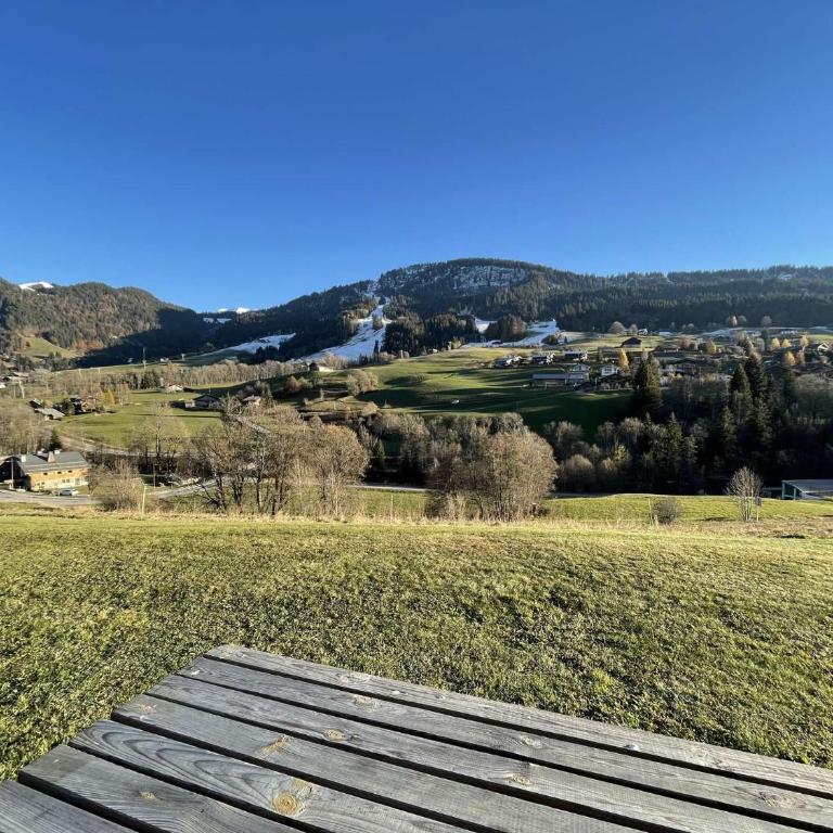 Appartement 2 pièces cabine à Praz-sur-Arly - 6 personnes - PSA110-2206 - Appartamento - 10