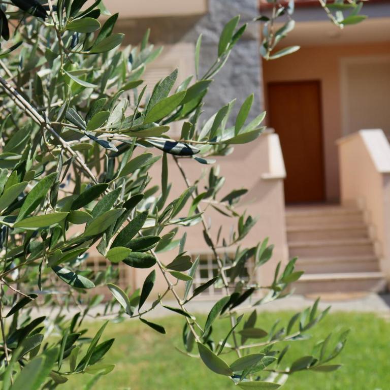 Monnalisa Village - Villa Standard - 5