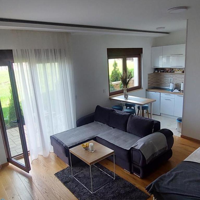 Studio 5 Suri Zlatibor - Studio - 9