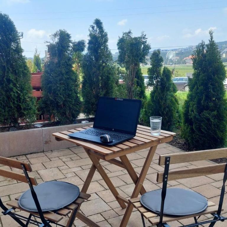 Studio 5 Suri Zlatibor - Studio - 1