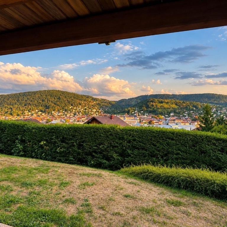 L'écrin des Vosges - Appartamento con 2 Camere da Letto - 2