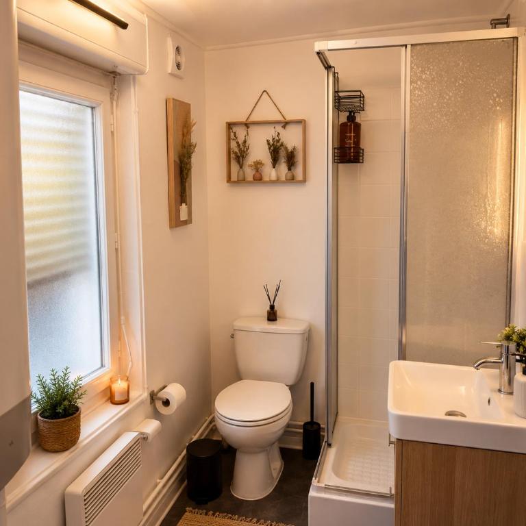 Appart-Lido, appartement cosy à REIMS - Studio - 13
