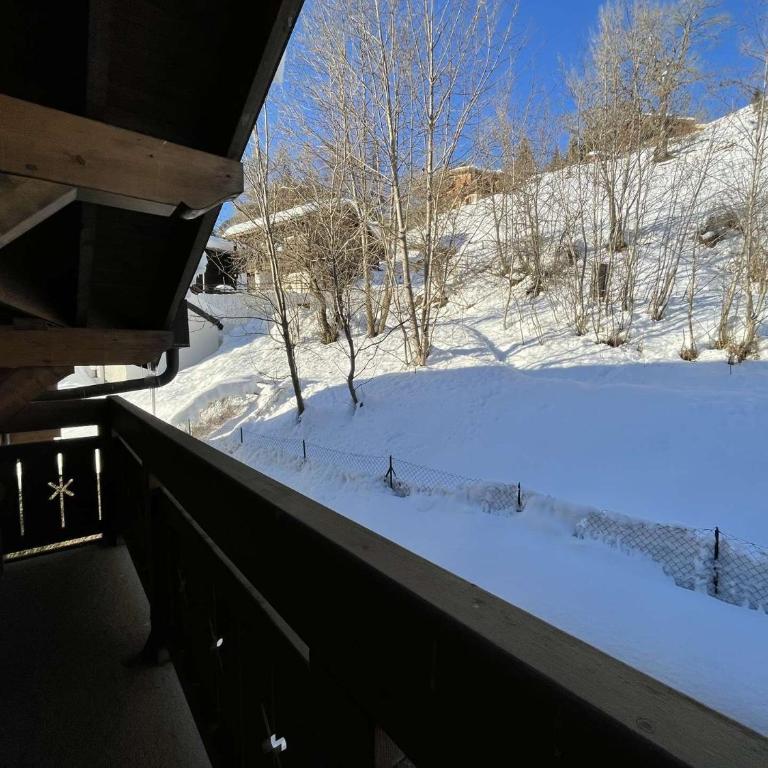 Appartement 2 pièces cabine à Praz-sur-Arly - 4 personnes -PSA000-225 - Appartamento - 20