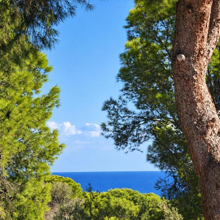 My little House in Moraira - Casa - 26