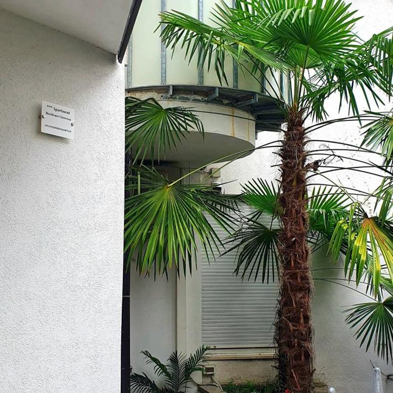 Residence Glorenza - Apartment mit 2 Schlafzimmern und Bergblick - 3