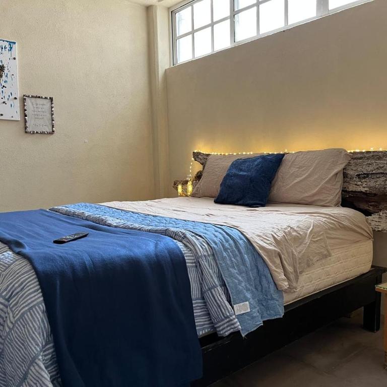 Planta Baja,p4,Pet friendly,10 minutos del centro - Appartement 2 Chambres - 5