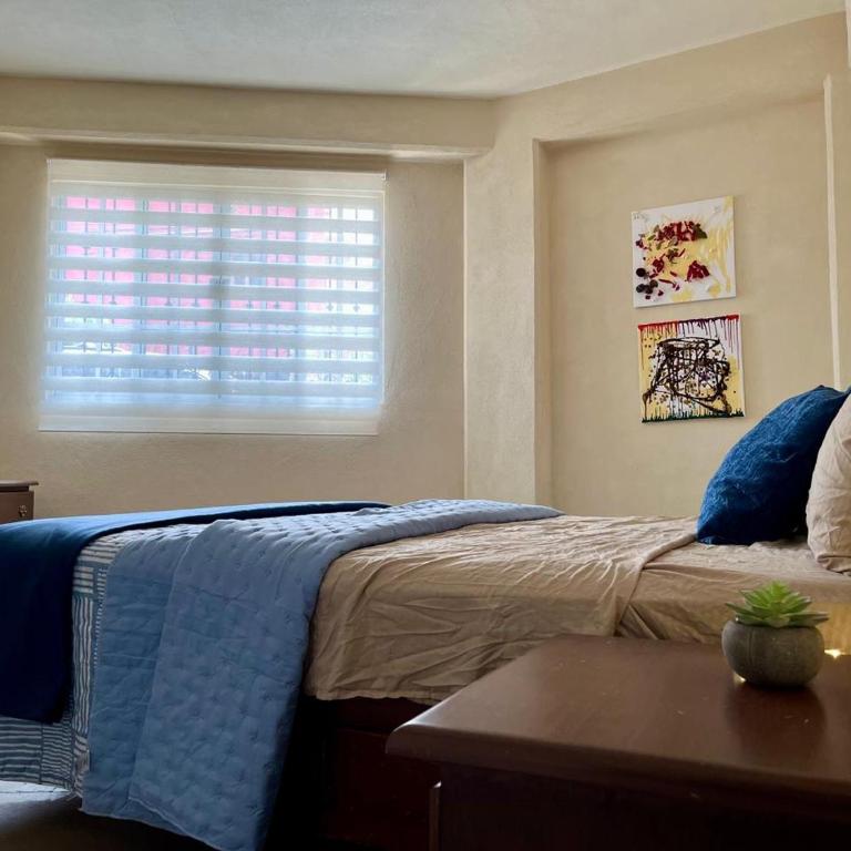 Planta Baja,p4,Pet friendly,10 minutos del centro - Appartement 2 Chambres - 3