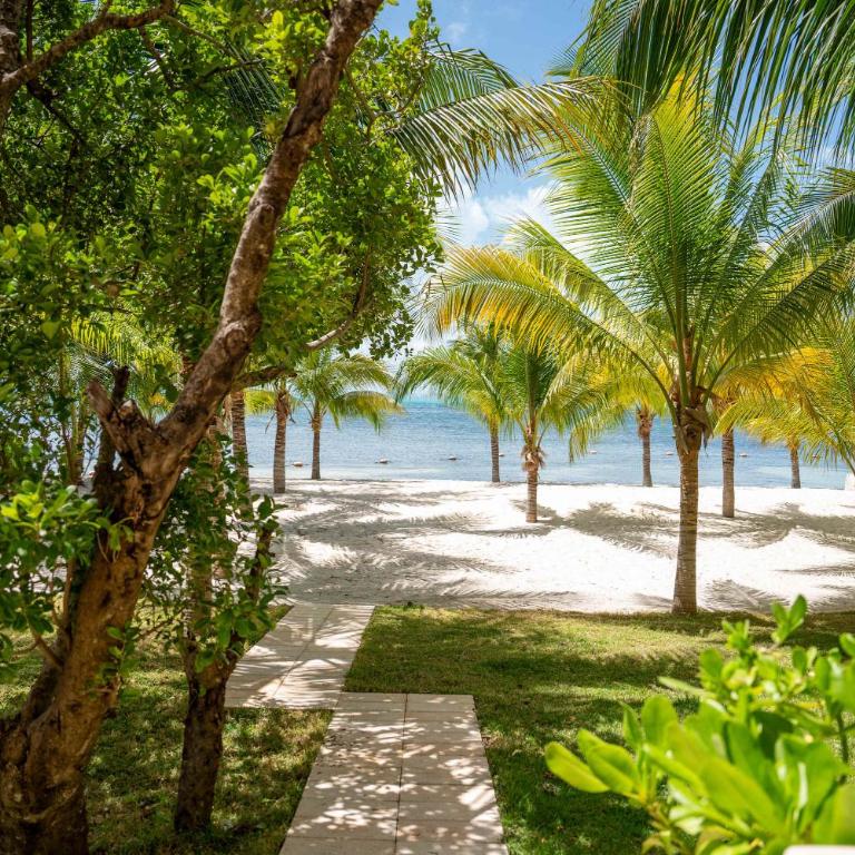 Artila 6BR Beachfront Steps from Caribbean Blue - Appartement - 83