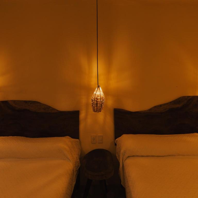 Hotel Almendros Bonfil - Twin Room with Balcony - 1