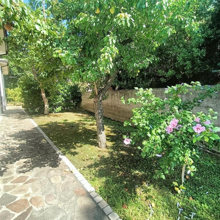 Appartamento zona Gesuiti - Appartement 3 Chambres - 16