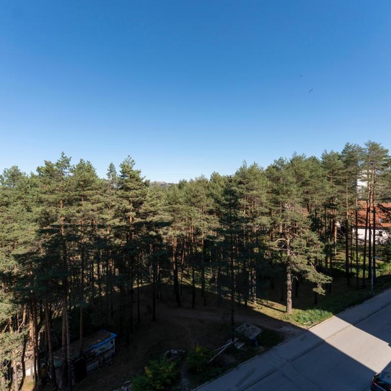 Mount Inn Šafrani - Deluks Apartman sa 1 Spavaćom Sobom - 7