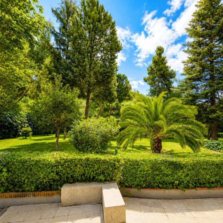 Spacious Madrid Apartment with Garden - Apartamento de 3 dormitorios - 37