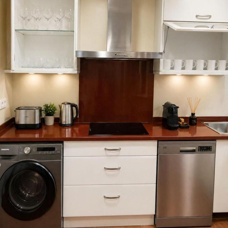 Spacious Madrid Apartment with Garden - Apartamento de 3 dormitorios - 6