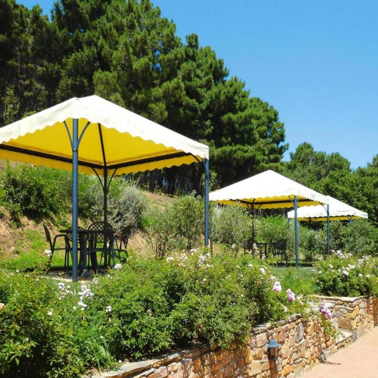Estate in Monte Serra with Pool & Olive Views - One-Bedroom Apartment - 18