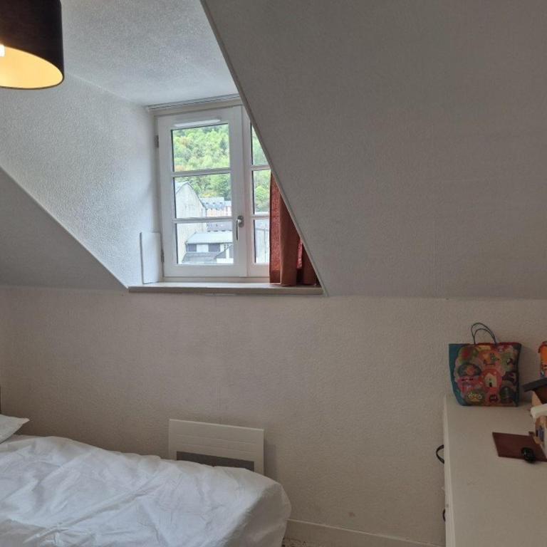 Appartement T2 en hyper-centre - Appartement 1 Chambre - 9