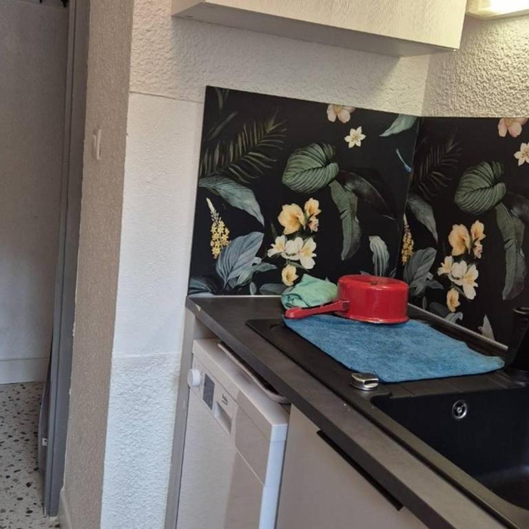 Appartement T2 en hyper-centre - Appartement 1 Chambre - 10