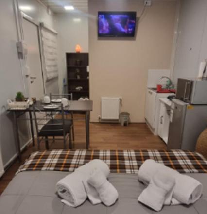 Room Studio in heart Punta Arenas - One-Bedroom Apartment - 3