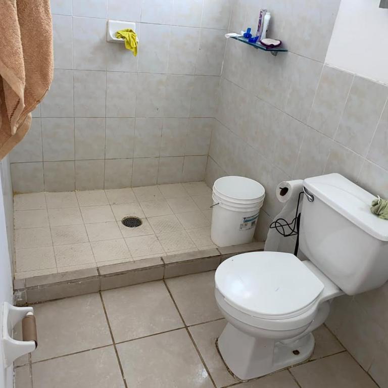Santa Catarina - One-Bedroom Apartment - 1