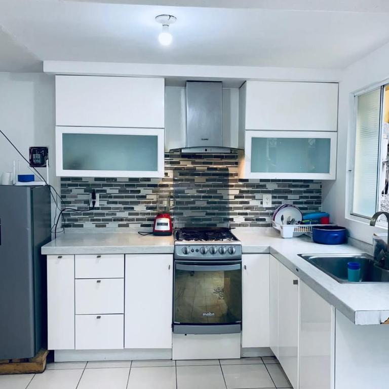 Santa Catarina - One-Bedroom Apartment - 2