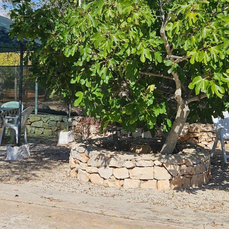 Villa Trullo Septis - Casa Vacanze - 23