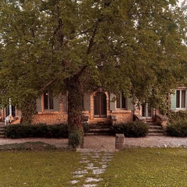 Ca' del Buso - Superior Apartment - 1