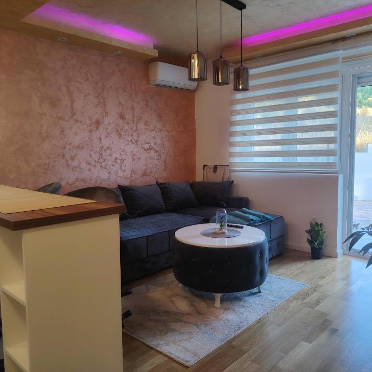 Damjan Luxury Suite Green Hill Sokobanja, ground floor - Apartman sa 1 Spavaćom Sobom - 21