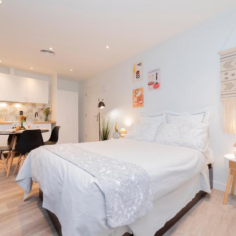 Piso Calle Toledo - Apartamento de 1 dormitorio - 1