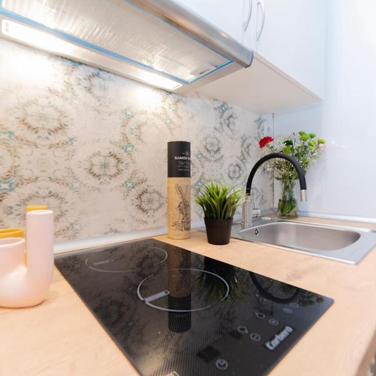 Piso Calle Toledo - Apartamento de 1 dormitorio - 5