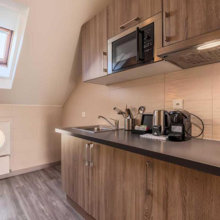 Cosy apartment- 1BR-4P- Geneva - One-Bedroom Apartment - 4