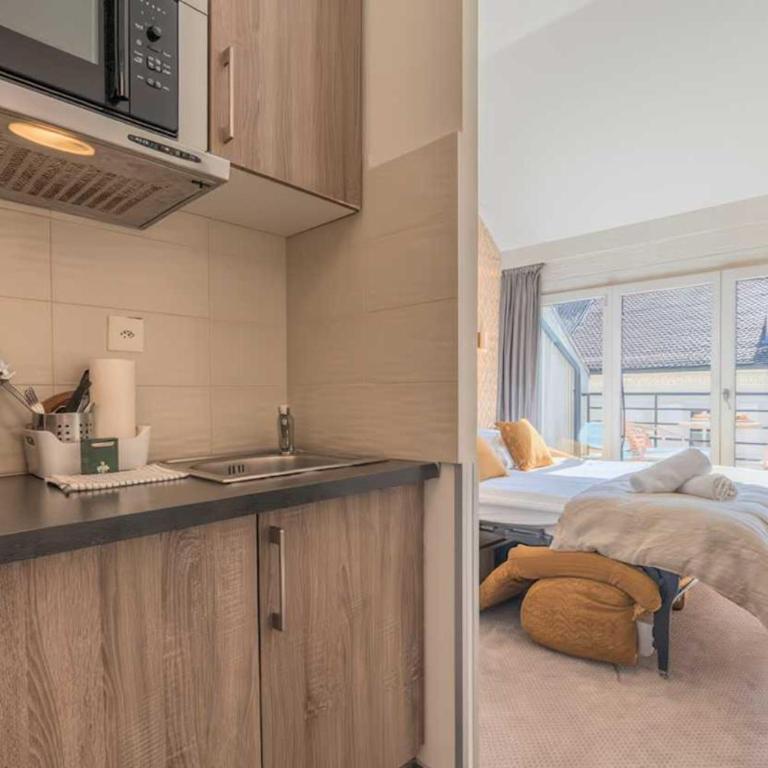 Cosy apartment- 1BR-4P- Geneva - One-Bedroom Apartment - 19