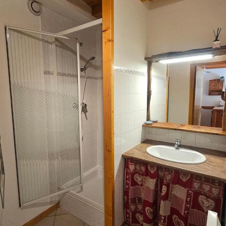 Pied des pistes 300 m Vue montagne Jardin - Apartment mit 2 Schlafzimmern - 4