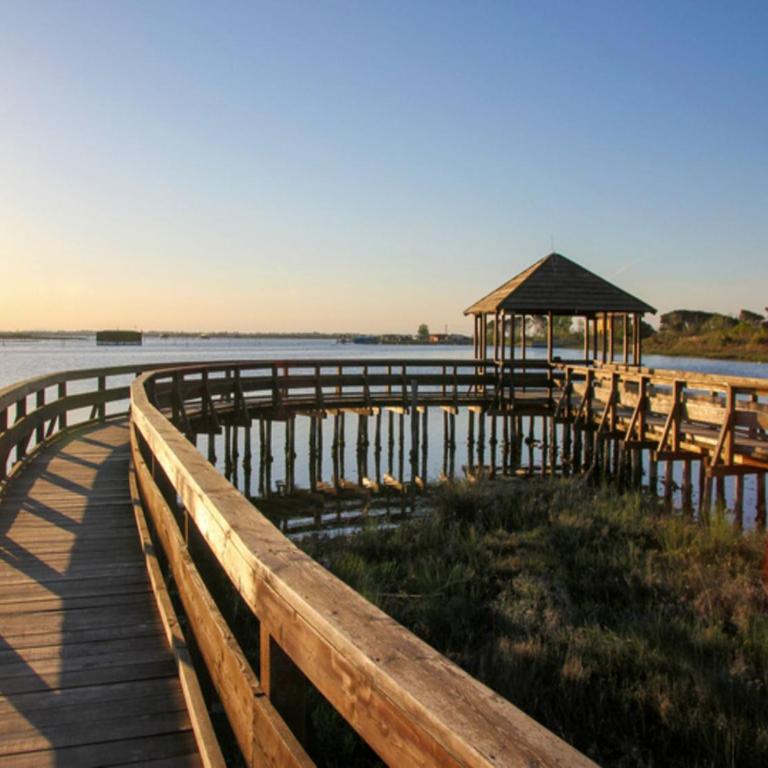 Comfy home near the beach - Appartamento - 17