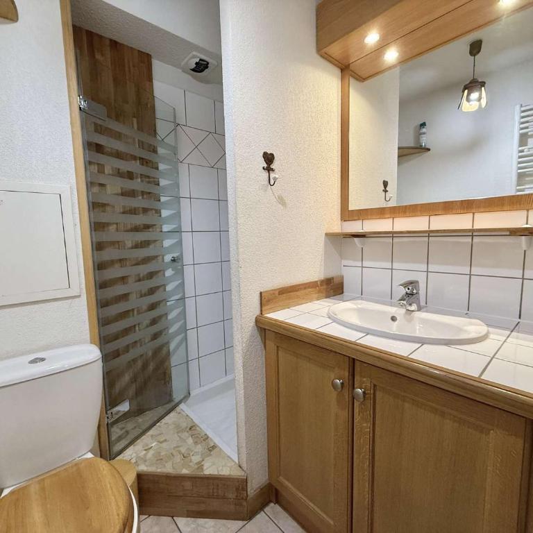 Studio cabine mezzanine à Praz-sur-Arly - 6 personnes - PSA000-226 - Appartamento Monolocale - 15