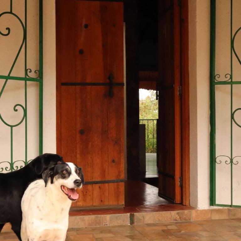 Casa de Campo - Oaxaca - Two-Bedroom Apartment - 2