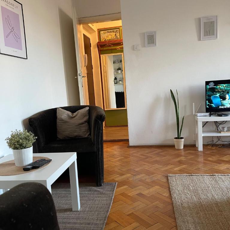 Apartman Centar Beograd - Apartment mit Terrasse - 10