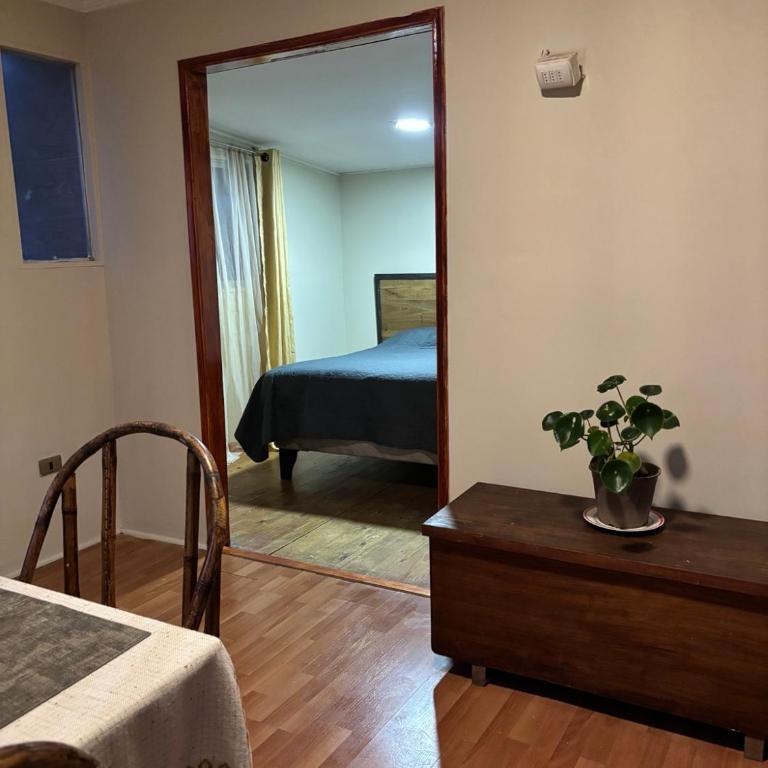Cabañas Luz de luna - One-Bedroom Apartment - 6