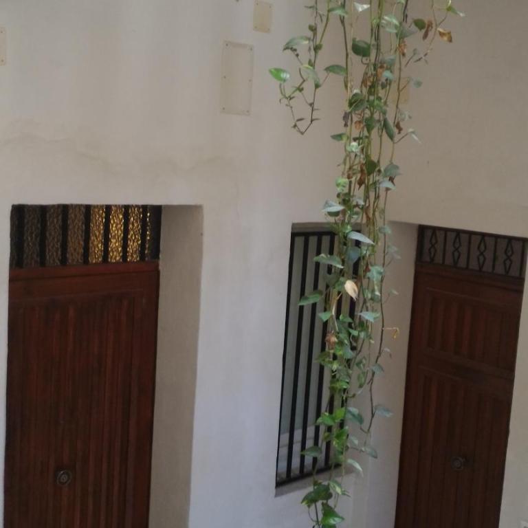 Casa Vacanze Trapani Via Mercè - Appartamento con 3 Camere da Letto - 19