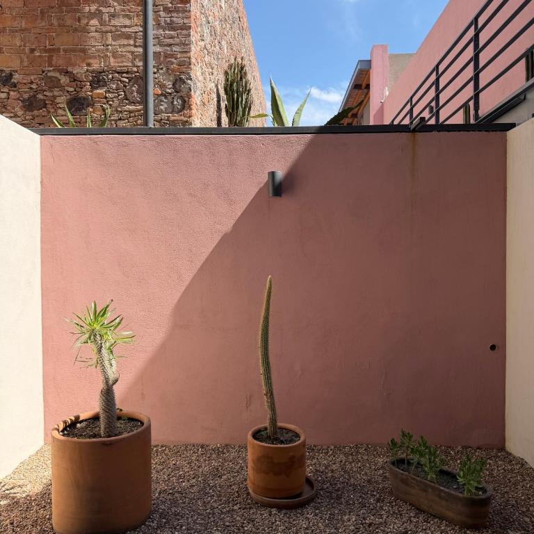 Casa Abierta Luxury Living - Apartamento Premium de 1 dormitorio - 7