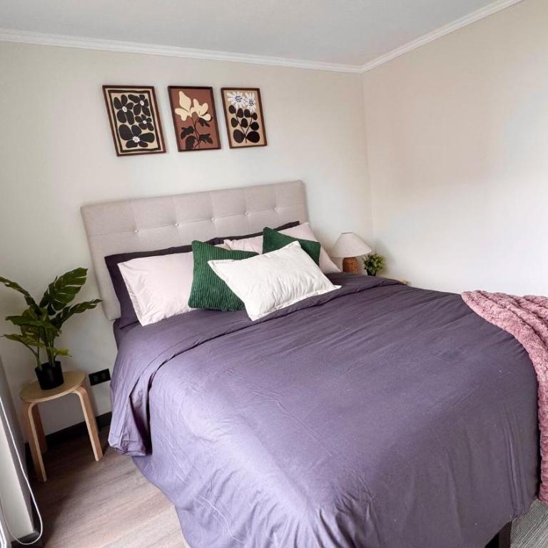 Departamento moderno cerca de la Torre Entel y La Moneda - Apartamento de 2 dormitorios - 31