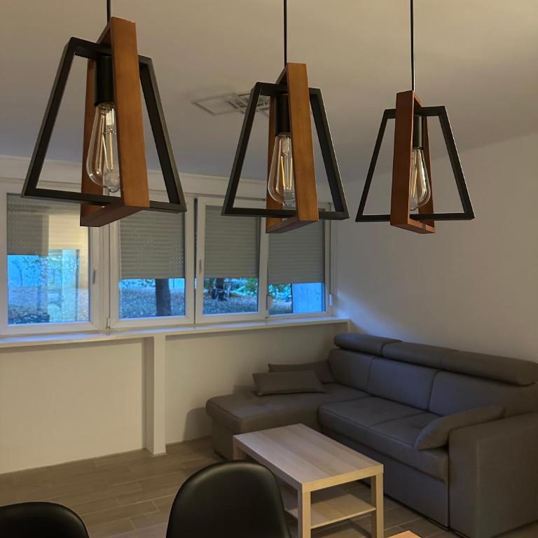 Stan Na Dan Voždovac - Apartman sa 1 Spavaćom Sobom - 4