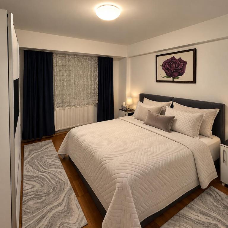 Lina Apartment Ilidža - Apartman sa 1 Spavaćom Sobom - 6