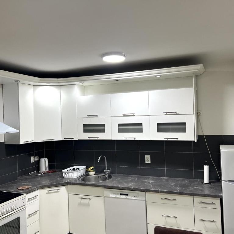 Lina Apartment Ilidža - Apartman sa 1 Spavaćom Sobom - 5
