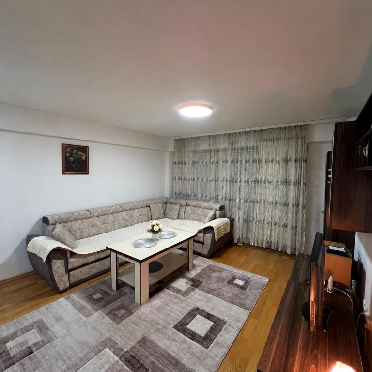 Lina Apartment Ilidža - Apartman sa 1 Spavaćom Sobom - 3