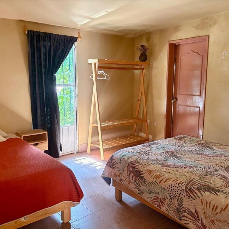 Casa Biche Authentic Experience in Jalatlaco - Apartment - 3